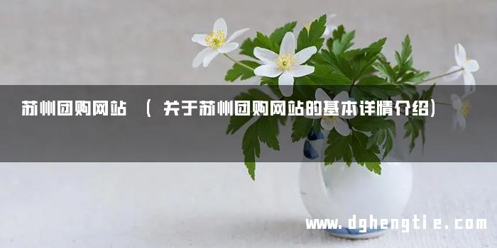 苏州团购网站 (关于苏州团购网站的基本详情介绍)